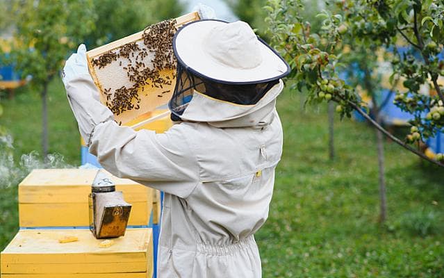 Bijvriendelijke tuinen en imkerij - kennismaking