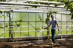 Ecologische moes- en siertuin